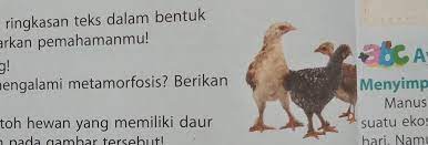 2 Perhatikan Gambar Di Samping A Apakah Hewan Tersebut Mengalami Metamorfosis Brainly Co Id
