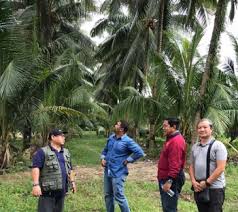 Kelapa adalah pohon yang semua jenis bagiannya bisa dimanfaatkan nah berapa harga kelapa terbaru saat ini? Anim Agro Technology Kelapa Matag Satu Analisis