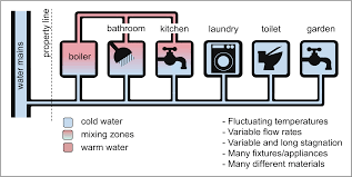 When it comes to sizing pipe, there are a few considerations for how to do it and why it matters: Water Free Full Text Feeding The Building Plumbing Microbiome The Importance Of Synthetic Polymeric Materials For Biofilm Formation And Management Html