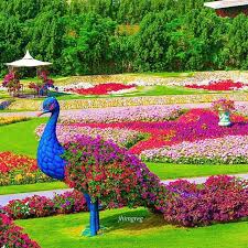 Beautiful World Of Mine On Instagram Dubai Miracle Garden By Jhimgreg Selected From The Tag Golden Heart Beautiful Gardens Miracle Garden Gorgeous Gardens