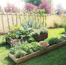 epingle sur potager