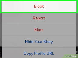 Paypal allows you to buy and sell merchandise and services online, through links to your credit card or bank account. 3 Ways To Block And Unblock Users On Instagram Wikihow
