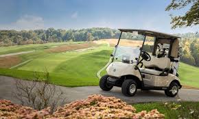 Image result for Beige 2009 Fleet