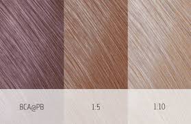 Goldwell Topchic