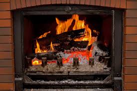 If the bird is stuck, you'll probably know right away because it'll be. Keeping Your Fireplace Pest Free During The Winter