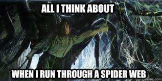 Spider Webs Memes Quickmeme