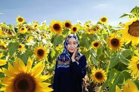 Namun tumbuhan ini menjadi favorit para petualang saat mereka menjelajahi gunung semeru. Berburu Bunga Bunga Cantik Di Malang Ke Sini Saja Ongis Travel