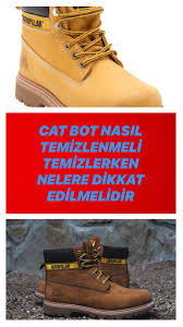 Cat Bot Nasil Temizlenir Uygulanabilir Tum Yontemleri In 2020 Movie Posters