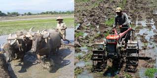 Bentuk Bentuk Perubahan Sosial Dalam Masyarakat Kumparan Com