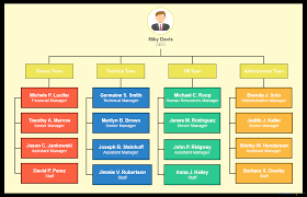 Types Of Organizational Charts Organization Structure