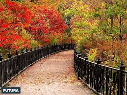 Fond D Ecran L Automne Couleurs Flamboyantes