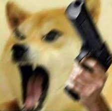 See more ideas about doge meme, doge, animal memes. Angry Doge With Gun Meme Templates House