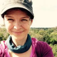 PDF) Experimental drought reduces the transfer of recently fixed plant  carbon to soil microbes and alters the bacterial community composition in a  mountain meadow