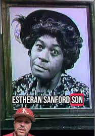 Lawanda from Sanford and Son
