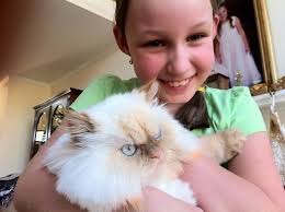 2009 ADOPTED PERSIAN AND HIMALAYAN KITTENS