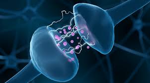 Neurotransmitters are chemical substances made by the neuron specifically to transmit a message. Which Neurotransmitter Is Involved In Drug Addiction Master Center For Addiction Medicine