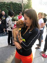 Get other latest updates via a notification on our mobile. Belinda Bencic Na Twitteri Ok So I Fell In Love With This Puppy From Pupstarzrescue And I Really Want To Adopt Him If I Could Is Someone Please Going To Do It