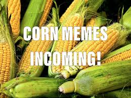 Black And Bruised Wine Nutrition A Do A Corn Meme Corn Memes Vegetables