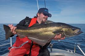 Check spelling or type a new query. Pin Auf Angeln In Norwegen Fishing In Norway