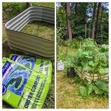 Maybe you would like to learn more about one of these? Tomatoes And Zucchini Love The Lobster Compost Gardening