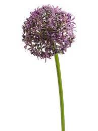 Fake Allium Flower In Lavender Purple Artificial Flowers Allium Flowers Silk Plants