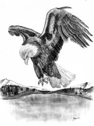 Bald Eagle Black And White Drawing Drawings Of American Bald Eagles Charcoal Drawing American Bald Eagle In Flight Eagle Drawing Bird Drawings Eagle Sketch