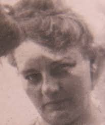 Anna N Meyer Henke (1864-1935)