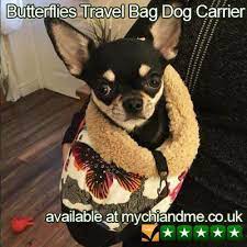 1 Likes 1 Comments My Chi And Me Mychiandme On Instagram Never Miss A Moment With Your Fur Baby With Our Amazi Cute Puppies Chihuahua Love Cute Animals