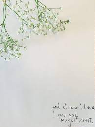 Babys Breath Flower Quotes Best Flower Wallpaper