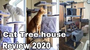 Cat condos or cat trees, what's the difference & will getting one break the bank? Cat Tower House Review 2020 Luxury Four Layers Cat Tree Condo Catslifeph Youtube