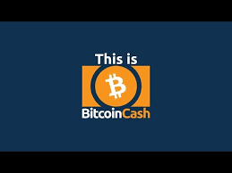 Much comes down to best guesses on whether institutional investors will buy in and whether bitcoin whales will sell. This Is Bitcoin Cash Youtube