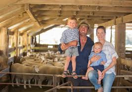 He is the twin brother to sister lucy hawkins and brother to sisters. Coola Station S Pasture Renovation Is Increasing Livestock Production Stock Journal South Australia