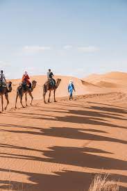 Two evenings in merzouga camel trip. Pin On Morocco