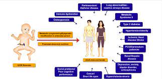 Figure Showing Various Adult Diseases The Iugr Infant Is Prone To Download Scientific Diagram