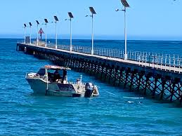 Elliston Jetty Dive Site Guide | West Eyre, SA