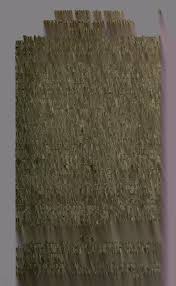 Image result for Emilia pseudactis