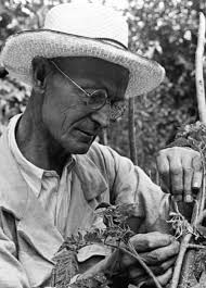 We are sun and moon, dear friend; we are sea and land. It is not our  purpose to become each other; it is to recognize each other, to learn to  see the