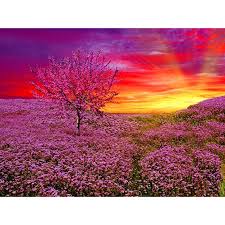 Acrylic painting flower field and big clouds landscape. 5d Full Square Round Diamond Painting Cross Stitch Sunset Pink Flower Field Rhinestone Crystal Needlework Embroidery Decoration Diamond Painting Cross Stitch Aliexpress