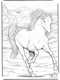 Download and print free horse jumping coloring pages. Horse To Color For Kids Horse Jumping Horses Kids Coloring Pages