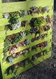 Pallet Gardens 10 Amazing Garden Pallets And Tips How To Get Started