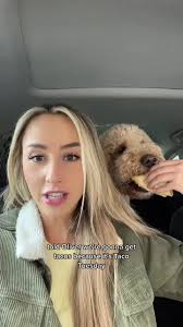 Taco Wednesday with Oliver the Goldendoodle