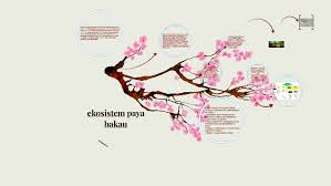 English version of el país to read online: Ekosistem Paya Bakau By Khairina Ayu