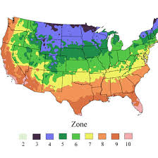 We did not find results for: Plant Hardiness Climate Zone Calculator Garden Com