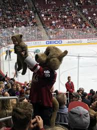 Check out our arizona coyotes selection for the very best in unique or custom, handmade pieces from our face masks shops. The Arizona Coyotes Mascot Has Finally Chosen His Apprentice Hockey