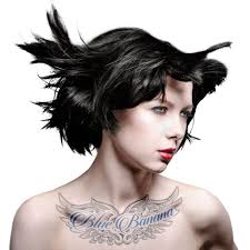 Pros and cons of professional blonde color. Manic Panic 4oz Black Hair Dye Ebony Raven Read More Reviews Of The Product By Visiting The Semi Permanent Hair Color Hair Color Cream Permanent Hair Color