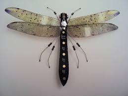 Black And White Insect With Wings Uk Uk Based Artist Julie Alice Chappell Art People Gallery Insect Art Bug Art Entomology Art