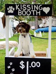 Dog Kissing Booth Great Fundraiser Dog Fundraiser Dog Adoption Event Dog Parade