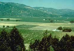 Preservation Brief 36 Protecting Cultural Landscapes Planning Treatment And Management Of Historic Landscapes Cultural landscape human geography definition.