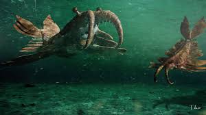 Anomalocaris fossils usually represent individuals between sixty and one hundred centimetres in length. Anomalocaris By Ntvtiko On Deviantart