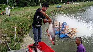 Kami harap anda sukakan senari tempat menarik di langkawi, tidak kisalah sama ada pantai di langkawi, ataupun tempat. 12 Tempat Menarik Di Tanjung Karang Lokasi Santai Ammboi